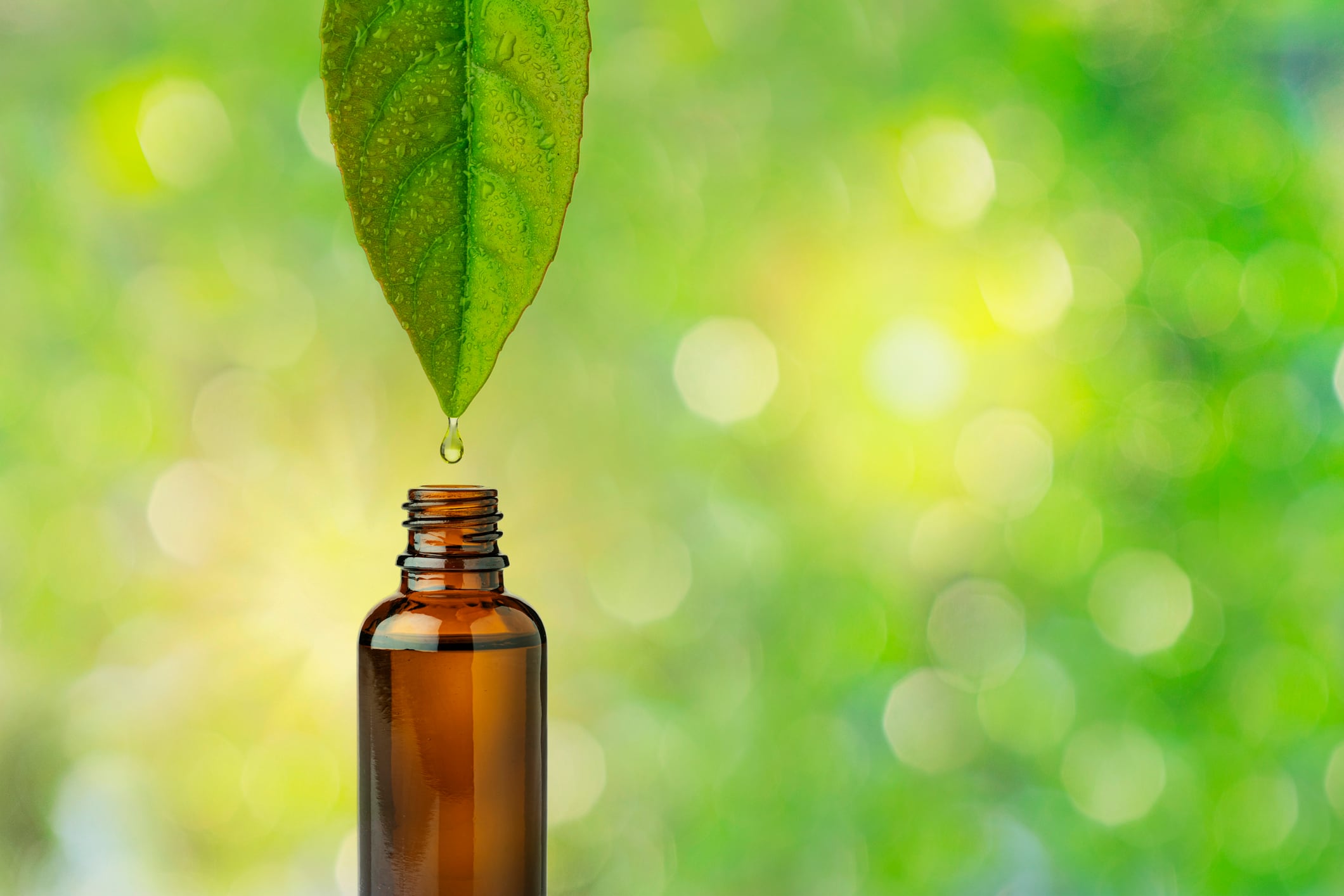 What you need to know about plant milking for cosmetic ingredients 