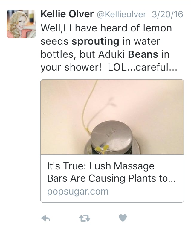 Lush-bean-sprout.png