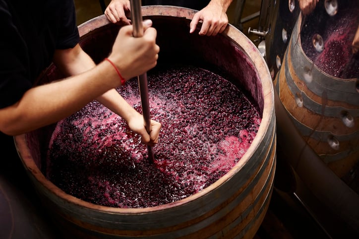 Wine-making-byproduct-potential-as-upcycled-cosmetic-ingredient.jpg