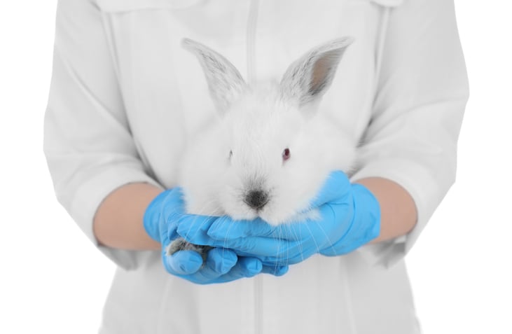 “Toothless” ban on animal testing for cosmetics “virtually meaningless” – says Cruelty Free Europe as Symrise is told to test on animals