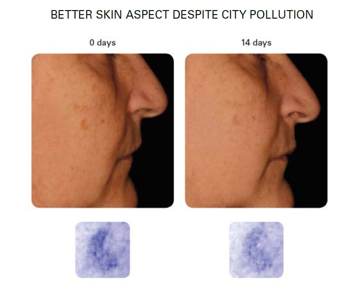 lipotec.png