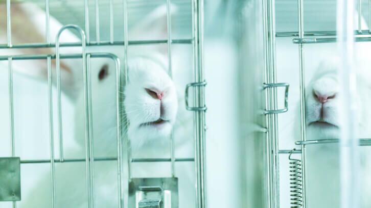 PCPC-lends-its-support-to-the-Humane-Cosmetics-Act.jpg