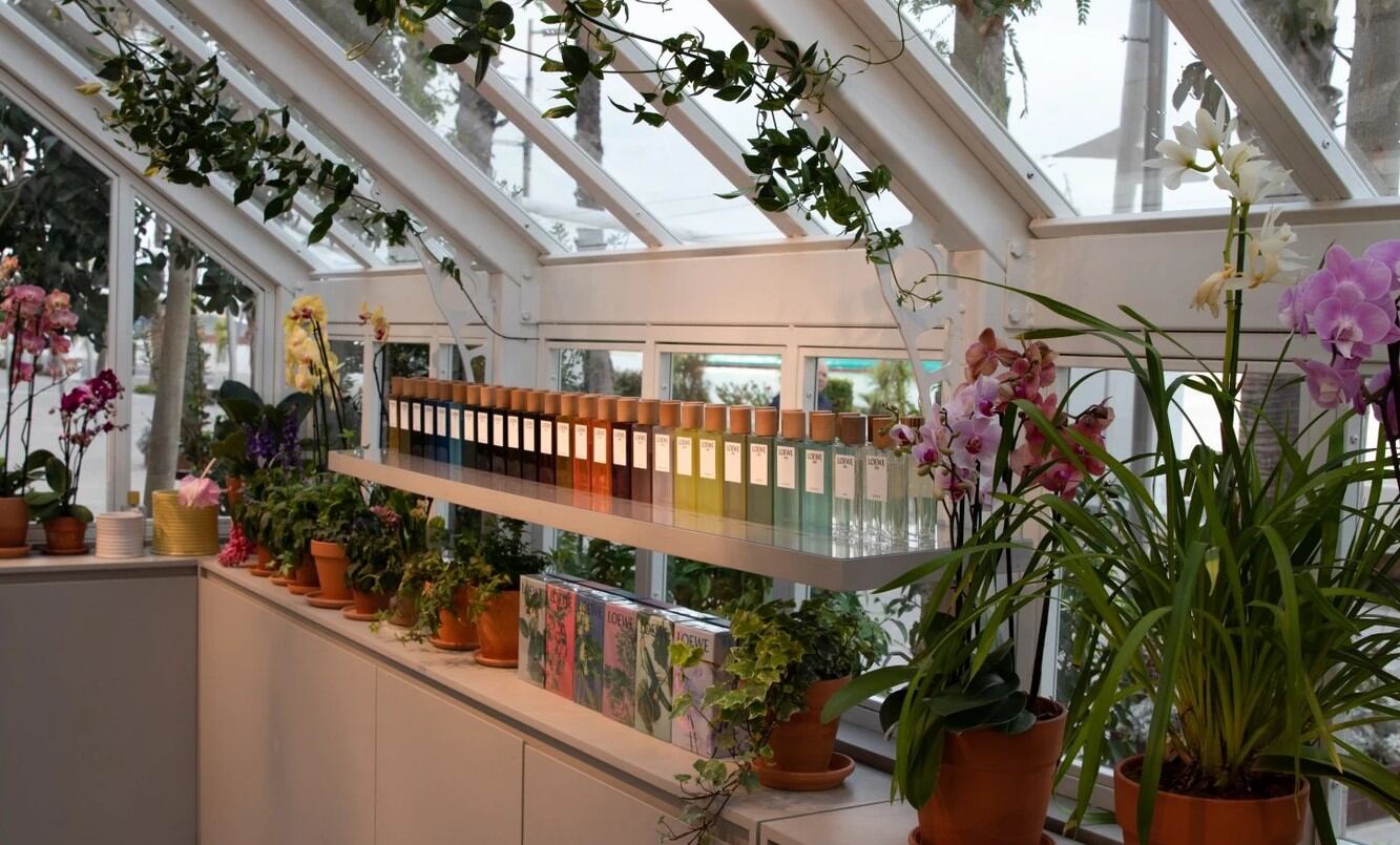 Loewe-greenhouse-popup.jpg