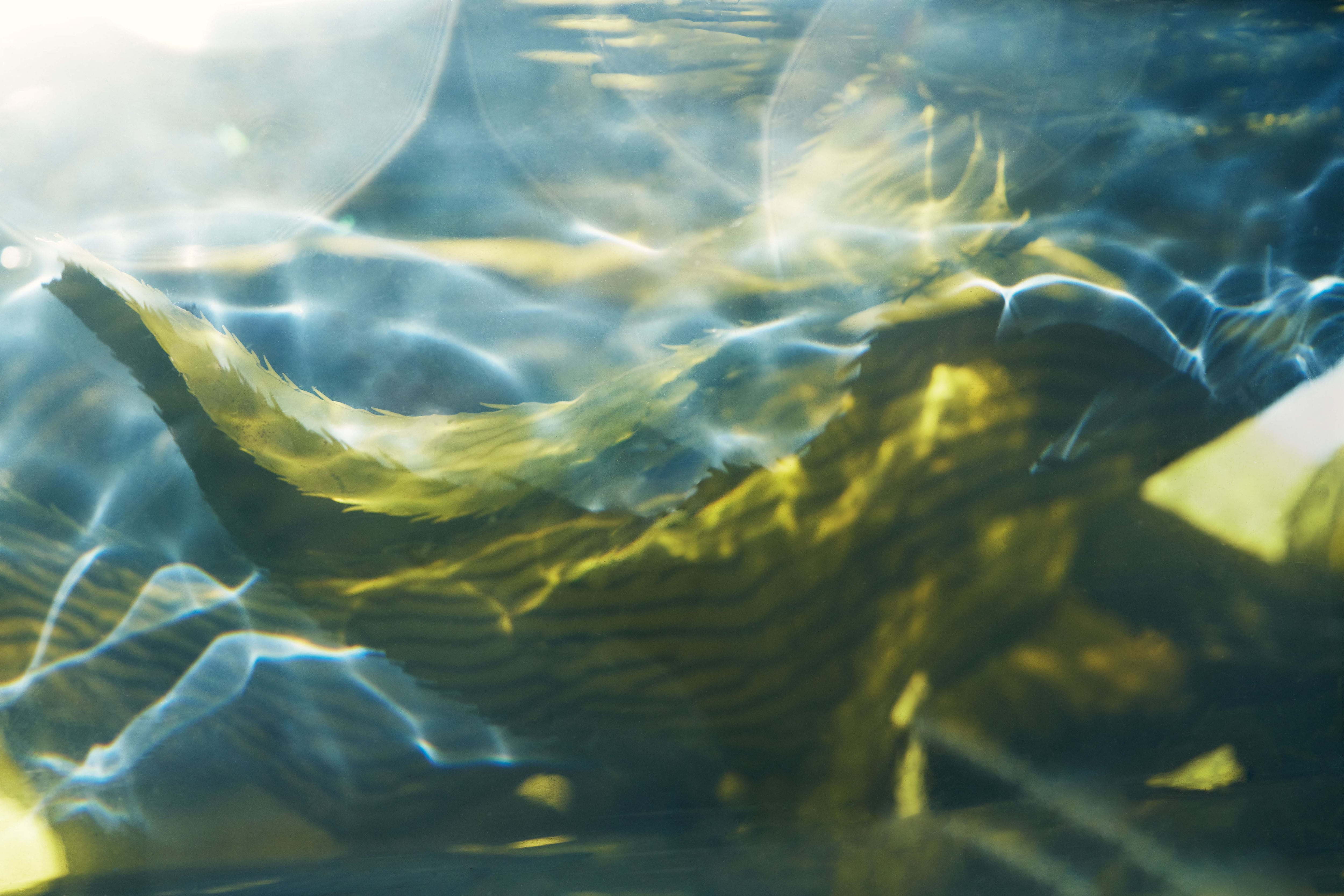 La Mer partners Salk Institute to advance research in cellular energy, inform future NPD