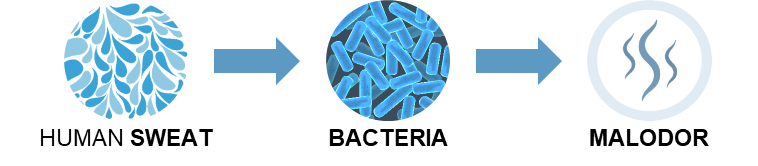 Use-Symrise-2.png