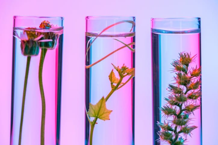 5-biotech-cosmetics-ingredients-companies-to-watch.jpg