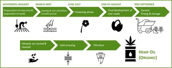 Hemp-Oil-Organic-MULTIMEDIA-1.jpg