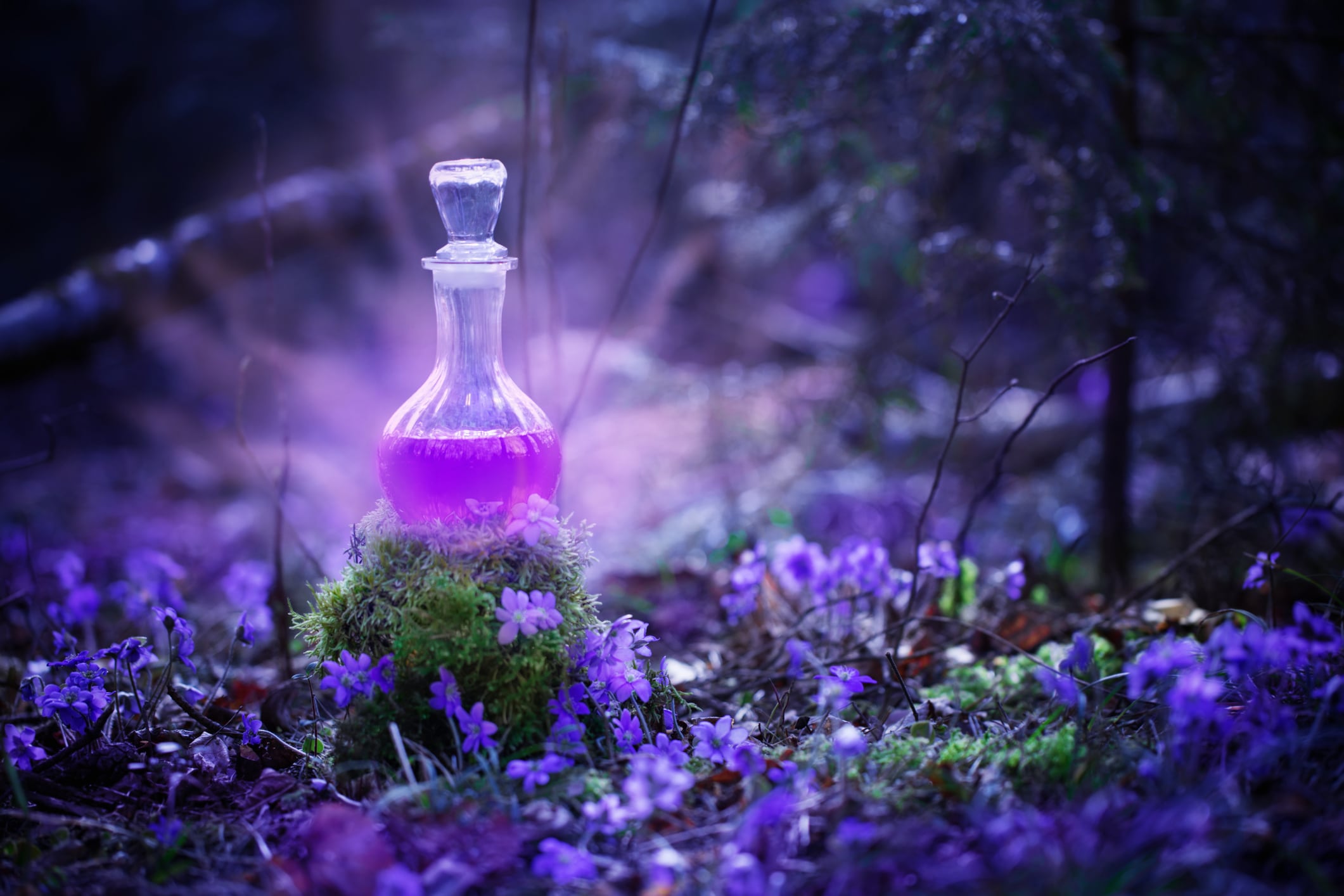 How-scent-is-being-shaped-by-spiritual-trends.jpg