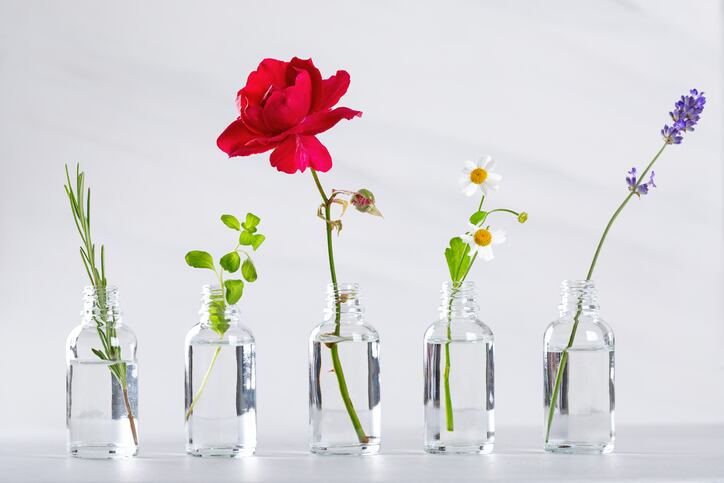 natural_naturals_naturallyderived_plants_flowers_extracts_lab_biotech_sustainable_green_aromatherapy_fragrance_ingredients_rawmaterials_sourcing_su.jpg