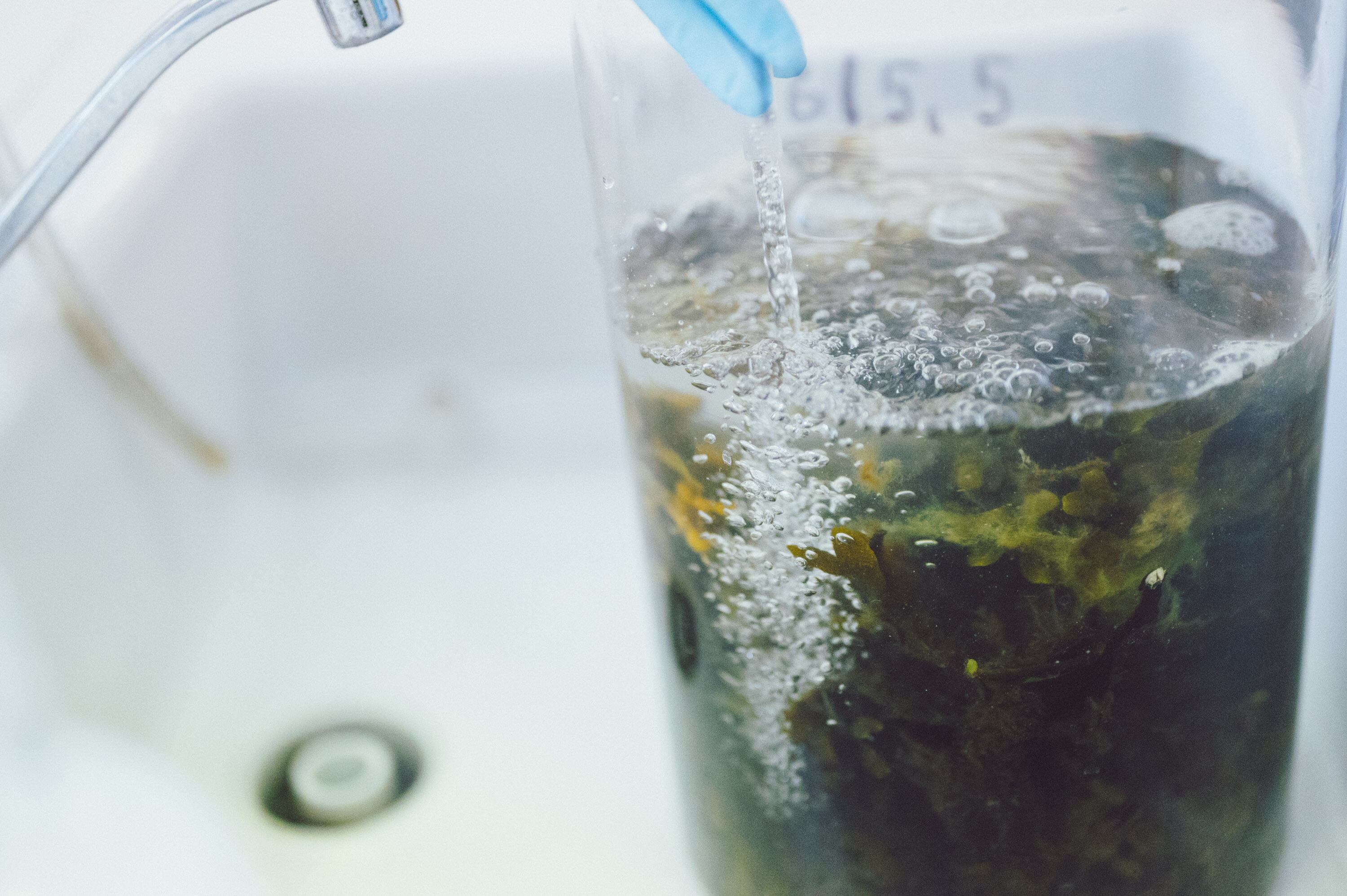 Origin by Ocean x CABB algae biorefinery