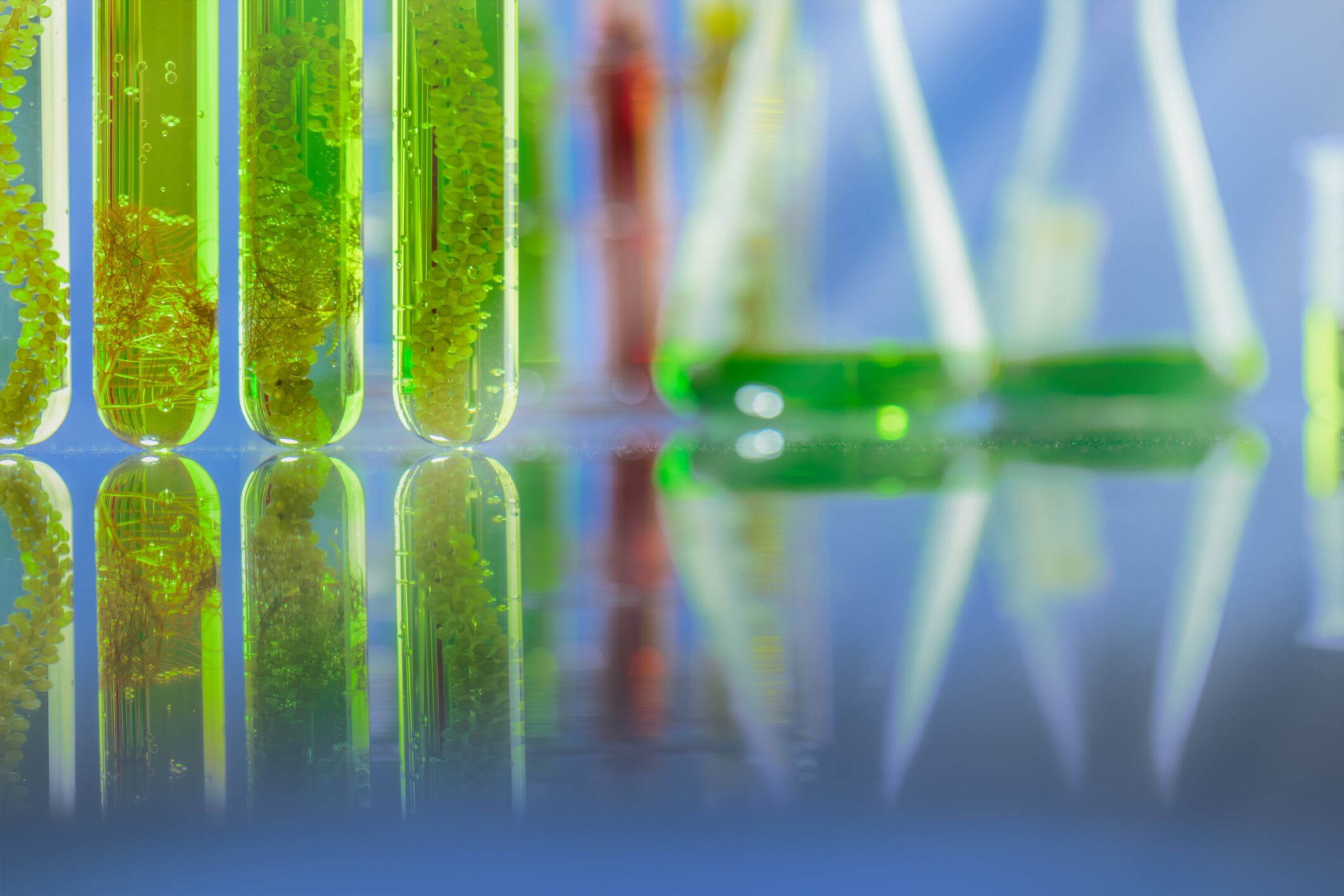 Robertet-acquires-Phasex-to-expand-in-US-market.jpg