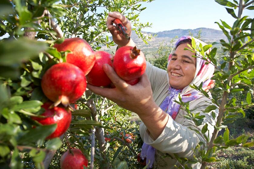 Transparency: how can the beauty industry respond? ‘We can quite literally change the world’