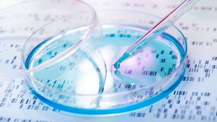 Amyris-produces-CBG-for-skin-care-at-commercial-scale.jpg