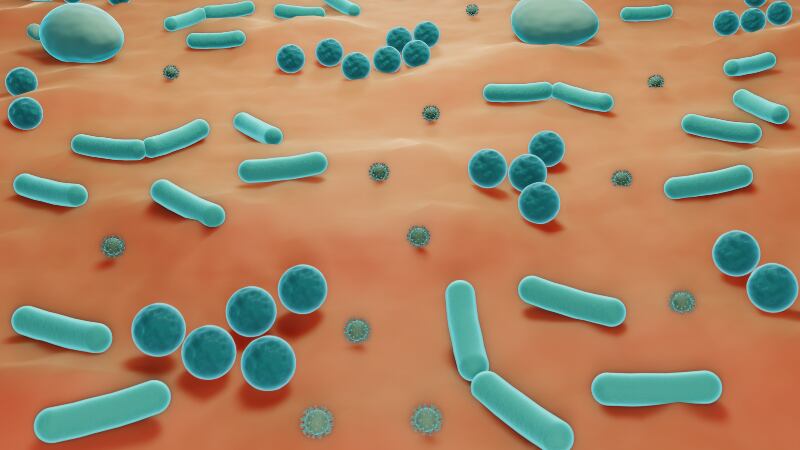 Control of skin microbiota crucial for developing novel therapeutic and probiotic application strategies – review