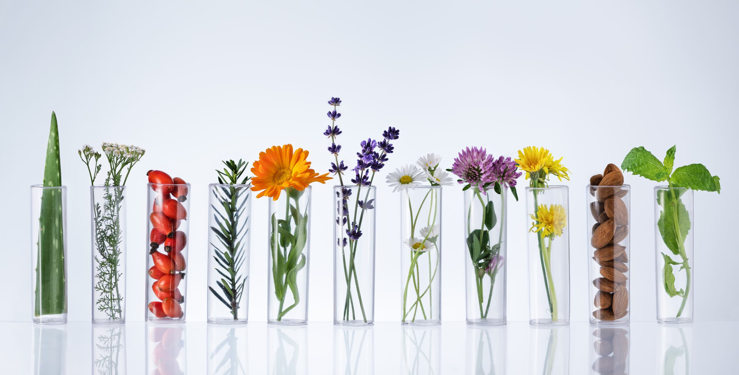 biotechnology-plant-based-ingredient-design.jpg