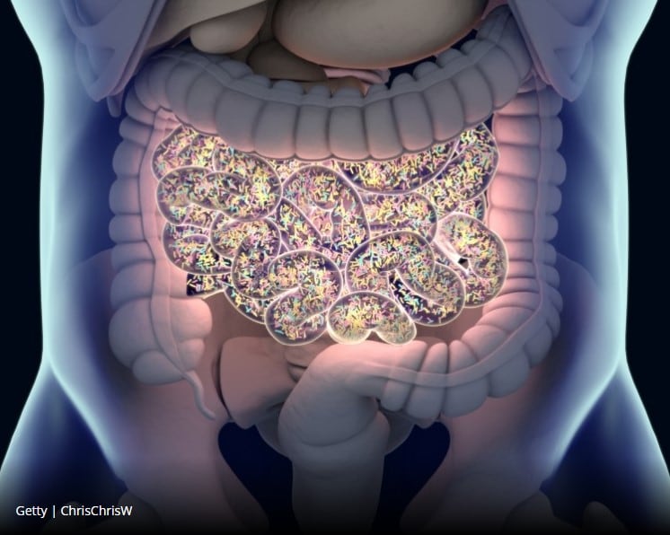 Finnish scientists outline new approach to explaining microbiota functionality