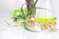 Givaudan: Developing actives for the growing clean and natural beauty market
