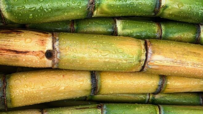 Australia-s-The-Product-Makers-banks-on-clinical-trial-findings-to-boost-anti-ageing-sugarcane-ingredient.jpg