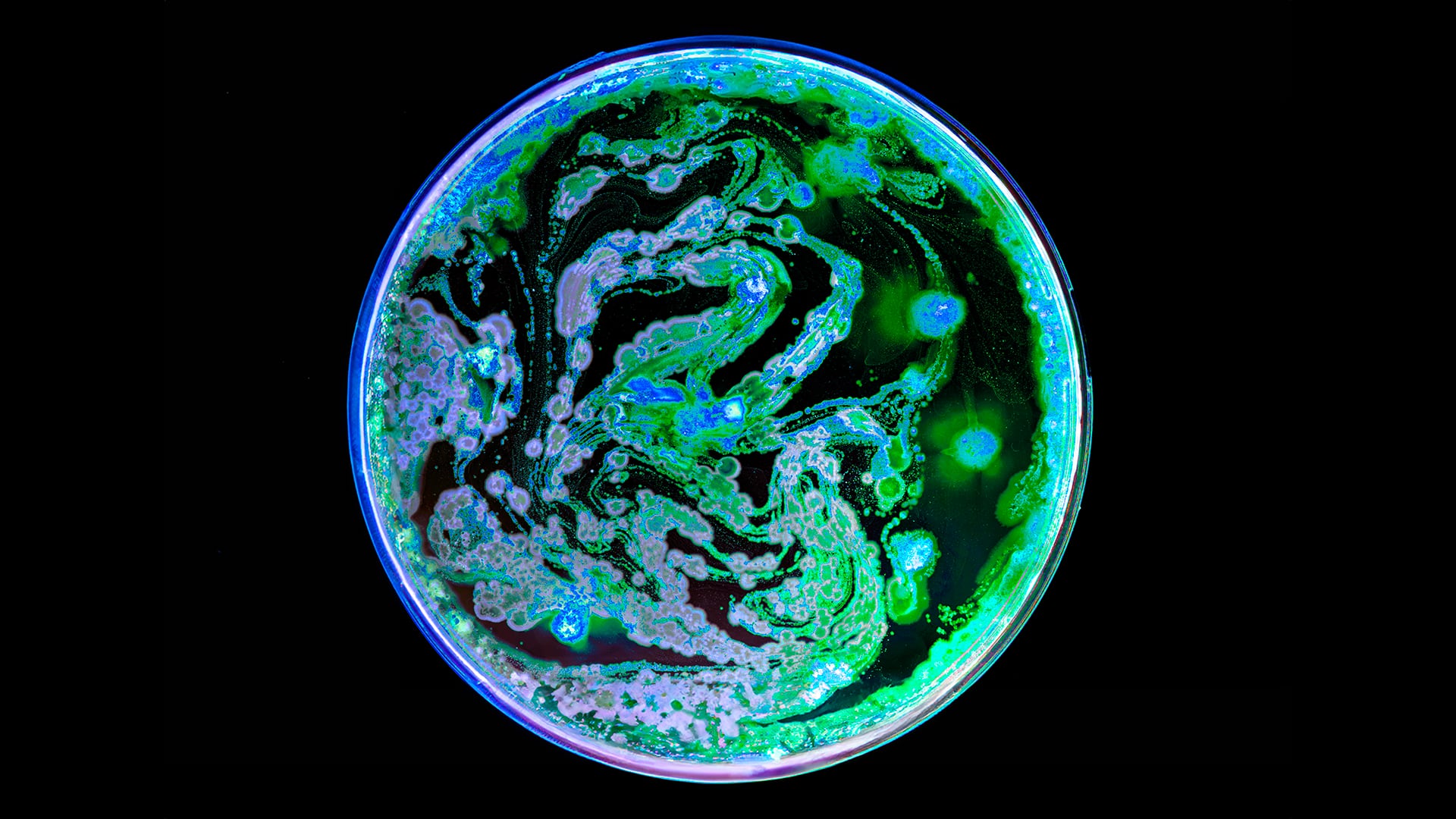 L-Oreal-partners-with-Abolis-Evonik-for-new-generation-of-bio-based-ingredients.png