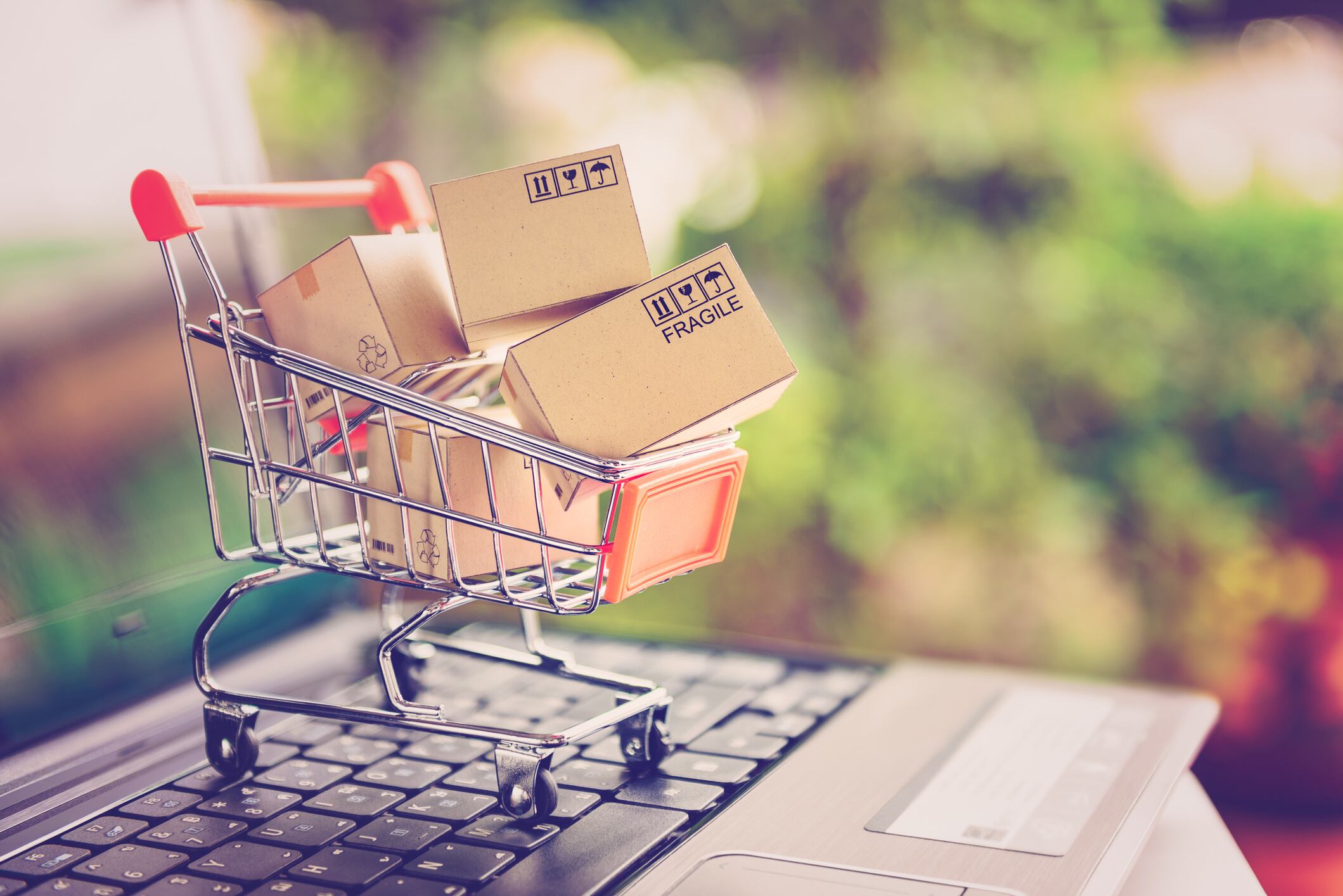 Beauty shoppers paying more attention to ingredients than price: Study