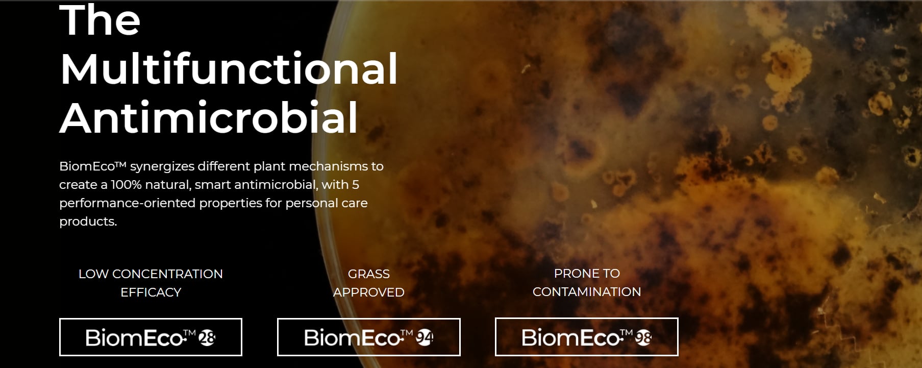 Israeli company introduces microbiome friendly preservative, claims is as effective as synthetics