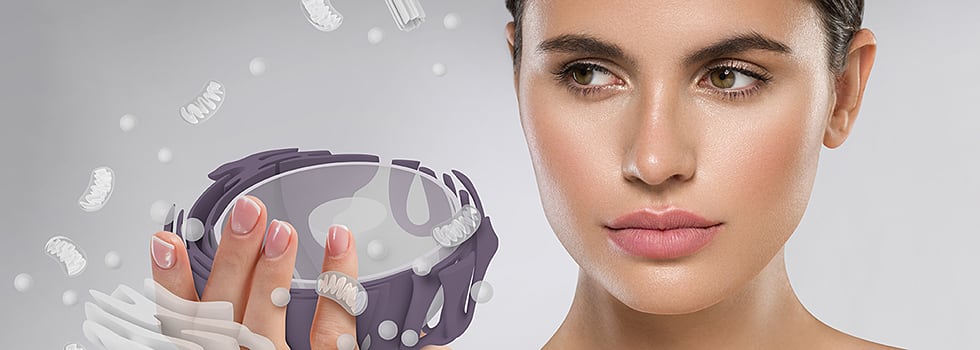 Target-cellular-proteostasis-for-an-anti-aging-performance.jpg