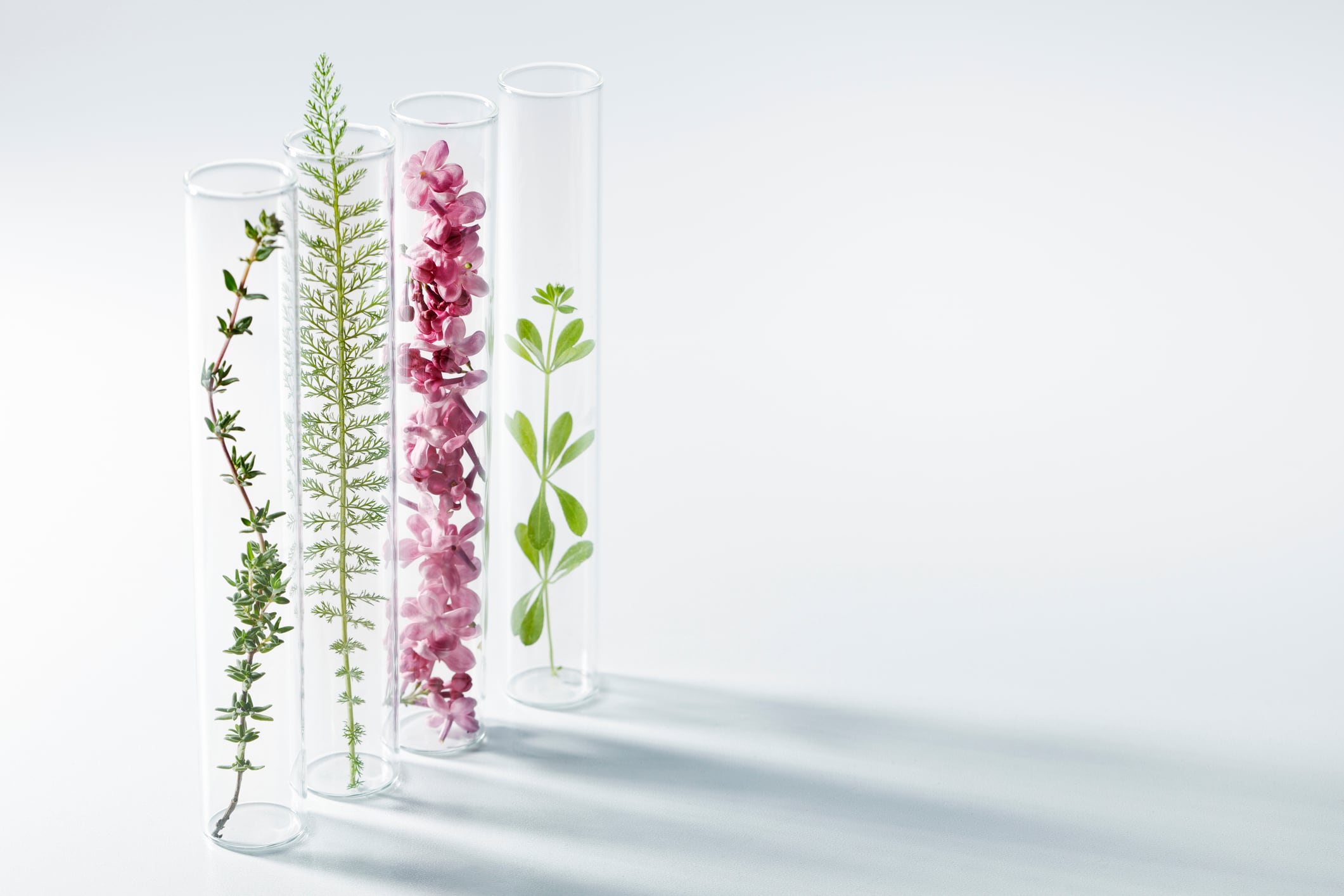 Ekkio Capital launches Sweetch to disrupt biotech beauty ingredients