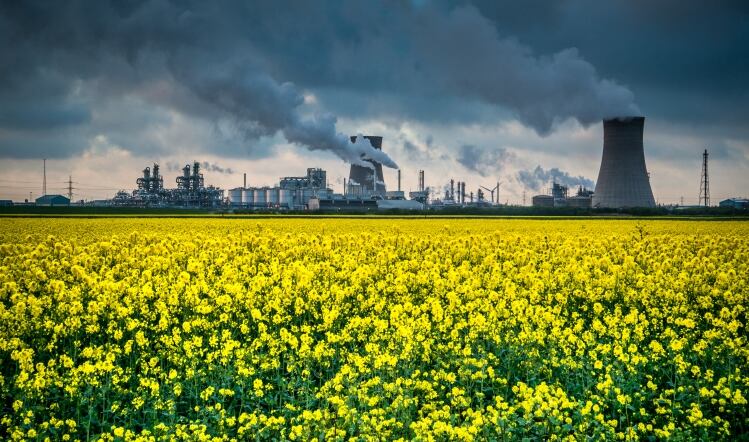 Emerging science: rapeseed oil waste a green fuel source?