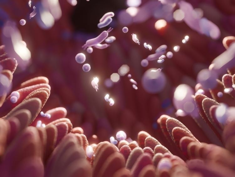 2. New study finds sugar beet can balance skin microbiota