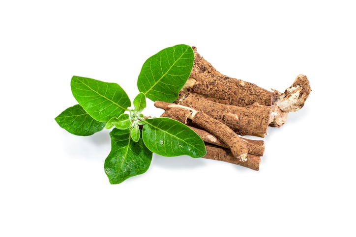 ashwaganda.jpg