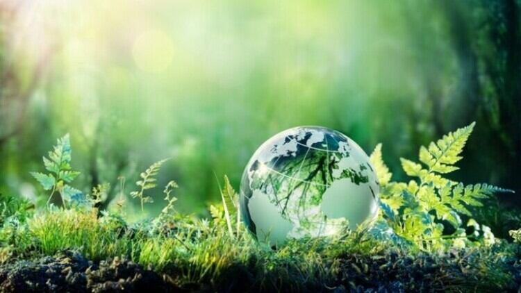 China green beauty: Celebrity endorsements increases purchase intent among youth