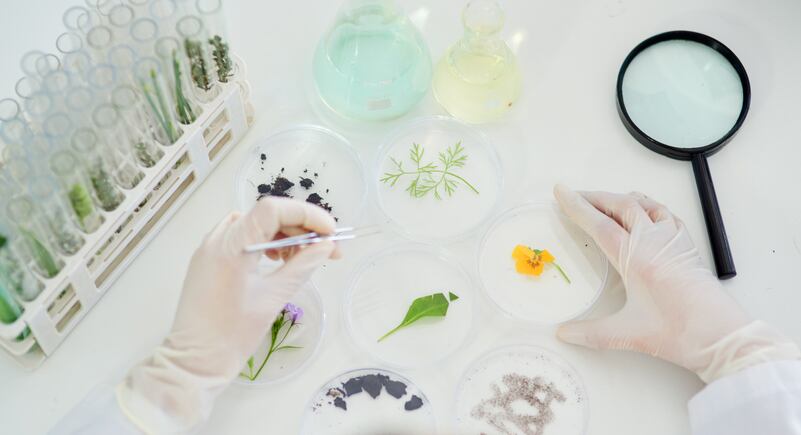 Rising promise for ‘anti-allergic’ natural actives in skin care: Review