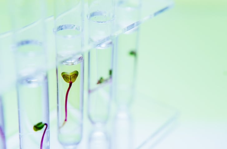 Biotech-beauty-holds-huge-promise-to-create-new-molecules-and-improve-processes-says-Givaudan-Active-Beauty.jpg