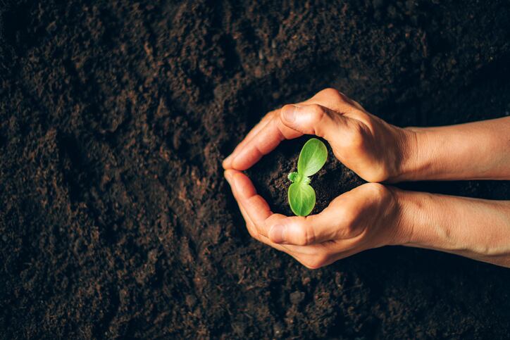 Green beauty boom: Investment is the ‘new black’ in sustainable business, says expert
