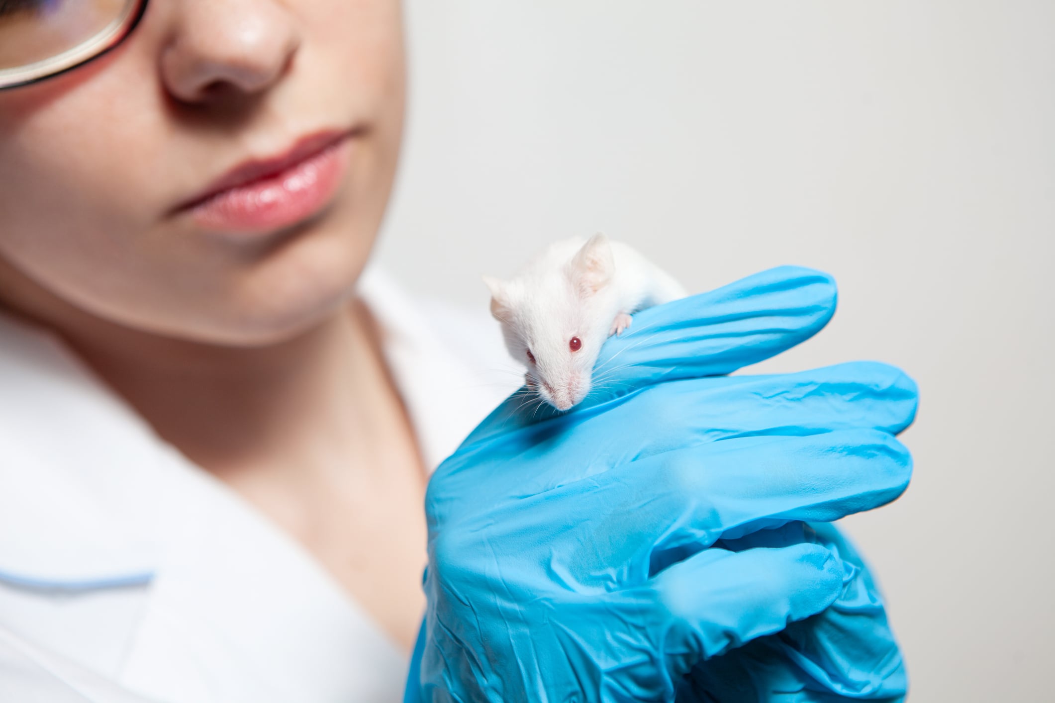 SenzaGen gets new funding to boost non-animal testing methods
