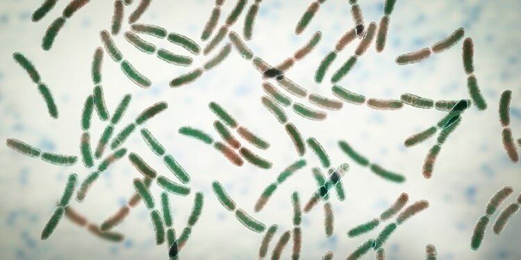 Microbiome beauty space hampered by misinformation and in need of standardisation – BiomeCentric CEO