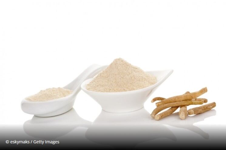Probiotic blends and adaptogens to boom as part of ‘body and mind’ industry predictions  