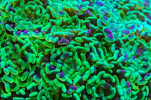 Highlights from our dedicated microbiome skin care coverage