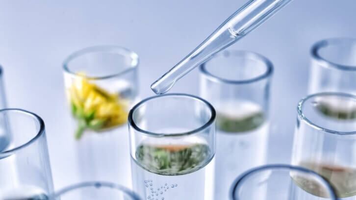 Scent tech company launches AI software for fragrance reformulation  