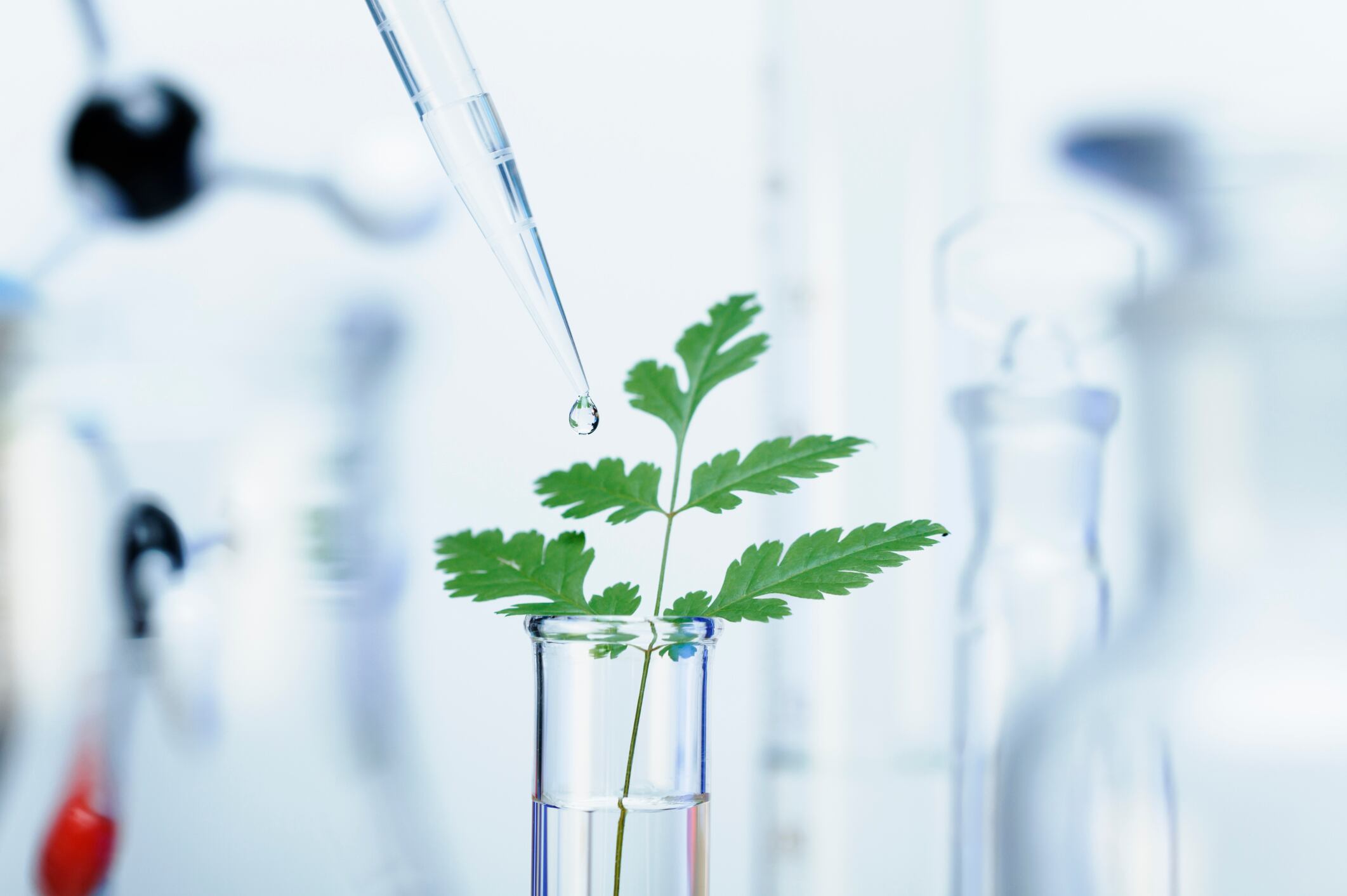 A new step in the field of ‘natural processes’: more on Syensqo’s investment in Bioeutectics