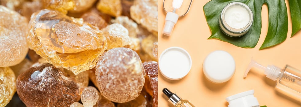 DemeCare-vegetal-gums-for-natural-cosmetics.png