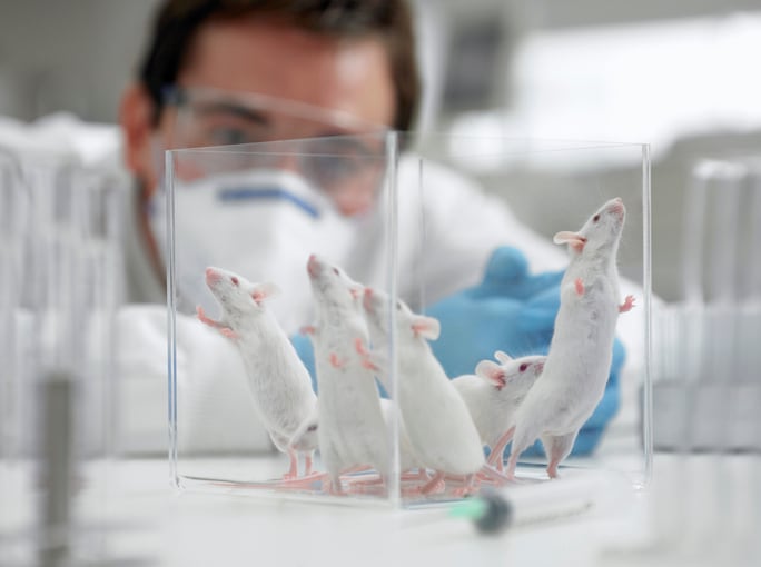 Cosmetics Regulation versus REACH: Study demonstrates EU in vivo testing regulation ‘conflict’
