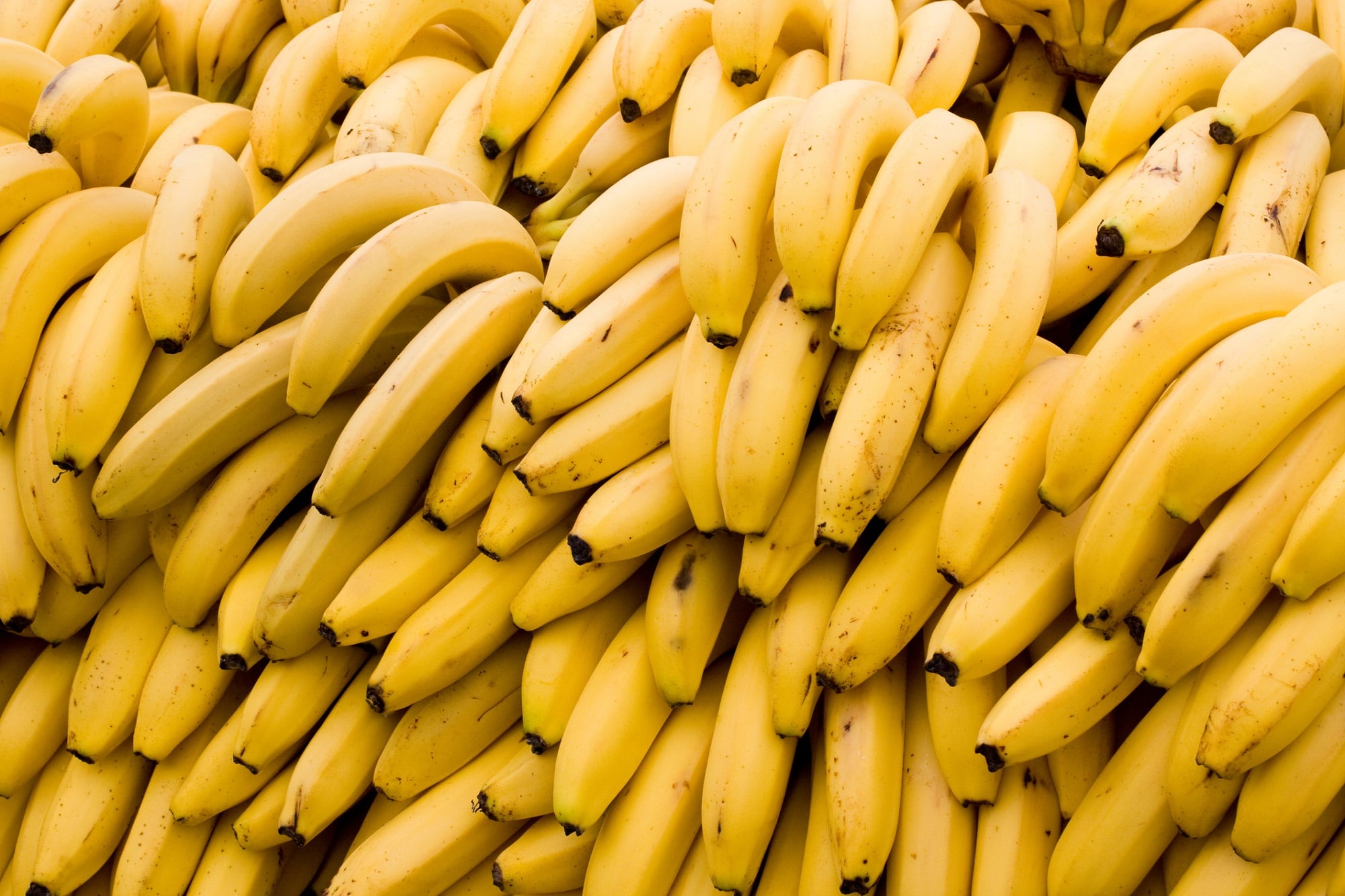 Agro-waste-products-show-promise-for-cosmetic-packaging-study-concludes.jpg