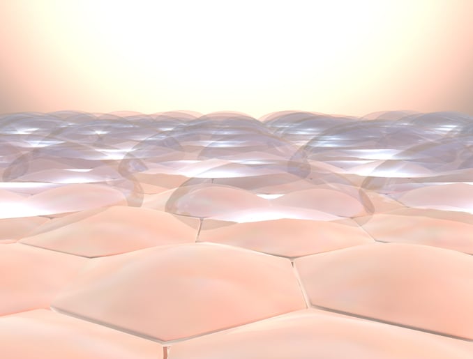 BASF-3D-printed-skin-model-for-anti-inflammatory-active-ingredients-research-and-development-in-partnership-with-CTIBiotech.jpg