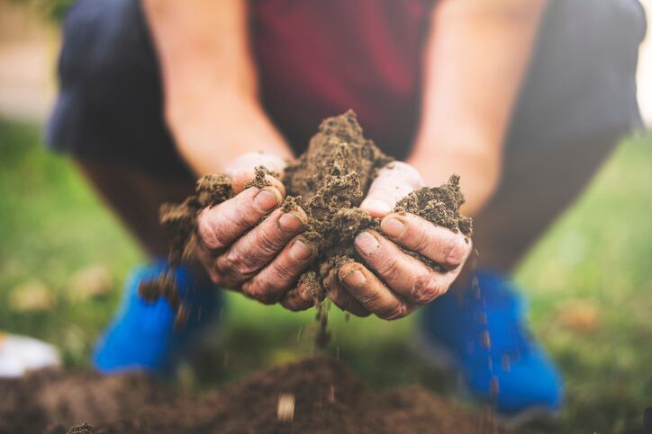 Beyond ISO 16128: Industry ‘can’t ignore’ biodegradability in natural and organic cosmetics, says expert