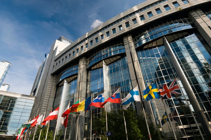 European Parliament votes for EU-wide plan to phase out animal testing