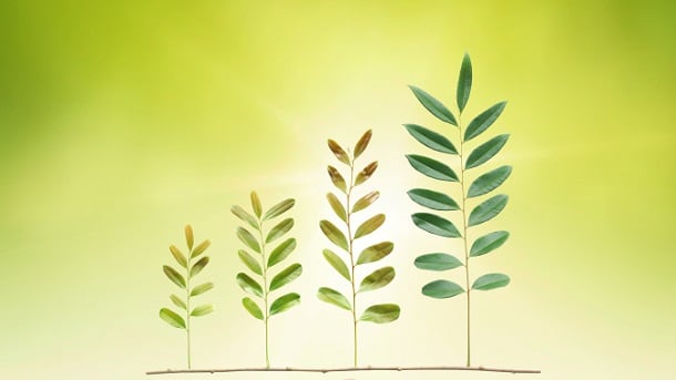 Carbios invests in PET biorecycling facility
