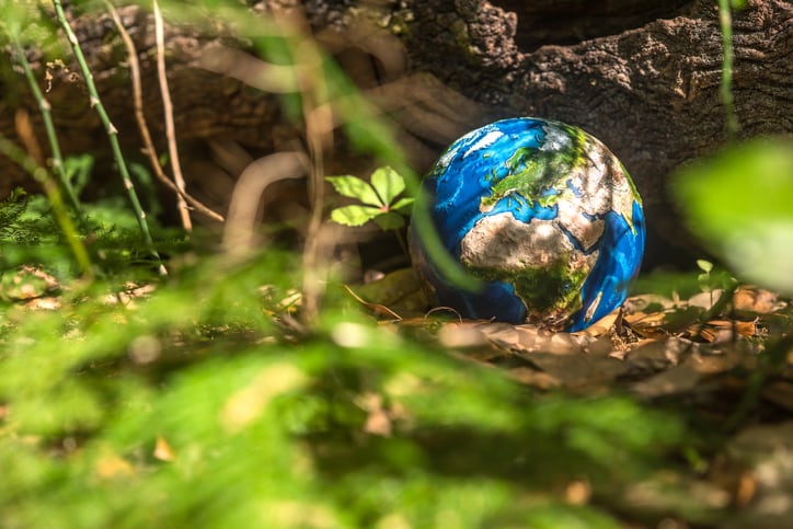 ‘Credible’ net zero plans: L’Oréal, Natura &Co and Unilever awarded Terra Carta Seal by HRH The Prince of Wales