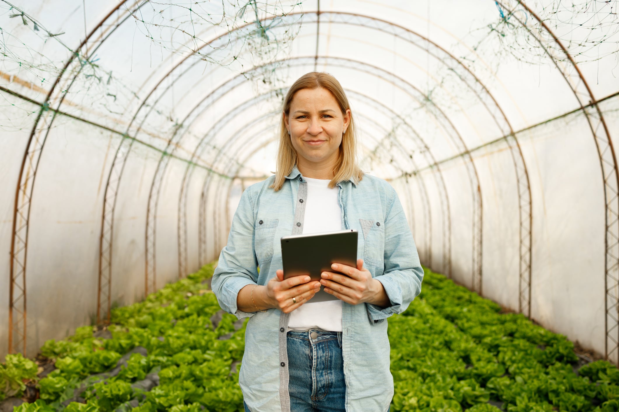 “This is the beginning of a new generation of ingredients”: spotlight on beauty agtech