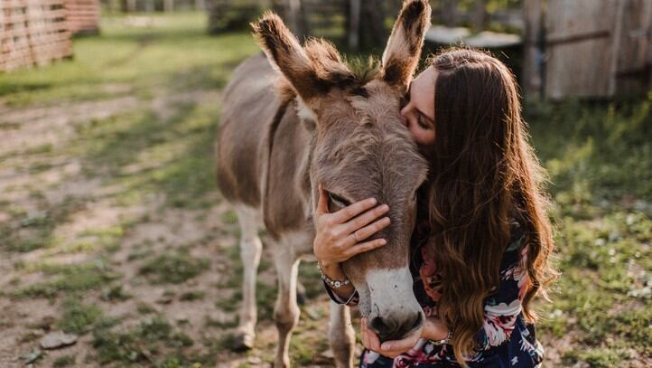 Donkey-milk-shows-promise-as-anti-pigmentation-skin-care-ingredient-China-study.jpg